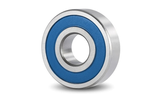SS-698-2RS-CN-V2-P6-GS1